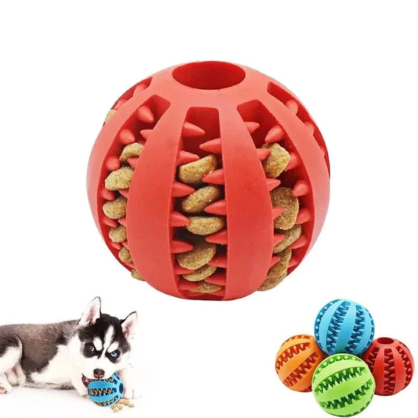 FRUDUX - Agility Futterball