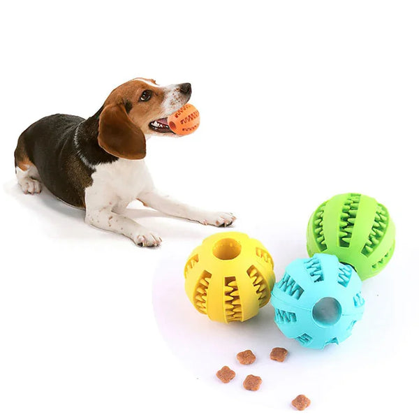 FRUDUX - Agility Futterball